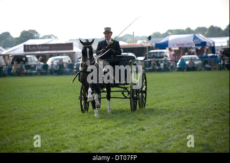 Un nouveau venu dans le secteur de la concurrence au faisceau d'Edenbridge et salon de l'agriculture dans la région de Surrey Oxted Banque D'Images