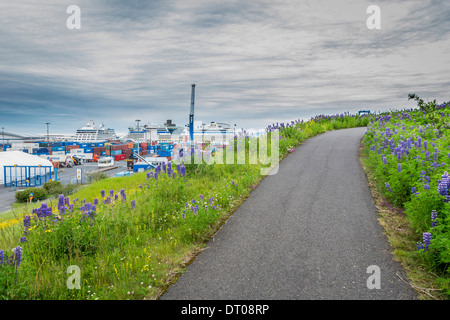 Sentier de marche par port de Reykjavik. Les contenants d'expédition avec les grands navires de croisière dans le port, Reykjavik, Islande Banque D'Images