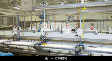 Usine de transformation du poisson, Flateyri, Islande, Fjords de l'Ouest Banque D'Images