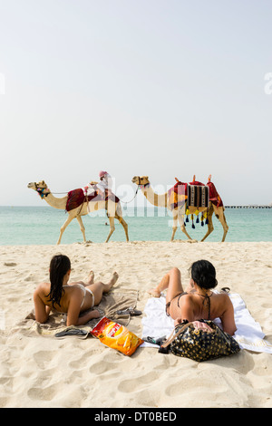 En chameau touristique sur la plage au quartier du port de plaisance de Dubaï en Émirats Arabes Unis Banque D'Images