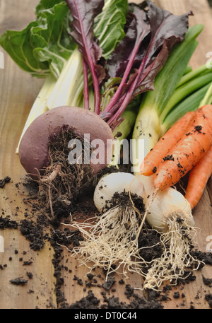 Les légumes frais du jardin et placés sur une planche Banque D'Images