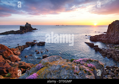 Le coucher de soleil à Land's End avec thrift accrochés aux rochers. Banque D'Images