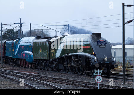 Mallard, tiré par Union d'Afrique locomotive à vapeur. UK Banque D'Images