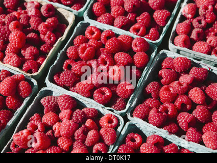 Seattle Washington USA Boîtes de framboises bio farmers market stall Banque D'Images