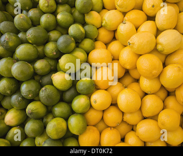Citrons Limes agrumes divisé en deux piles Banque D'Images