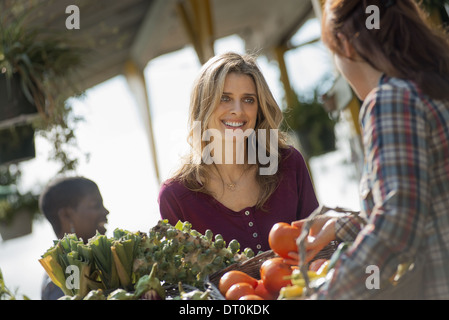 Woodstock, New York USA Femmes travaillant et Shopping dans ferme bio Stand Banque D'Images