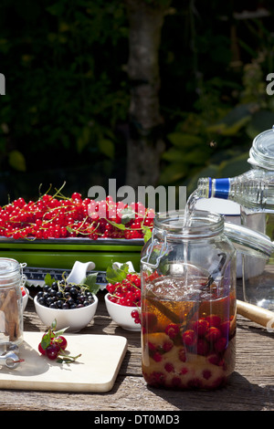 Le remplissage de la vodka dans un bocal de conserve avec les cerises et le sucre de canne Banque D'Images