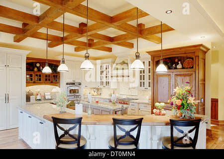 Une cuisine résidentielle moderne dans une maison haut de gamme. Banque D'Images