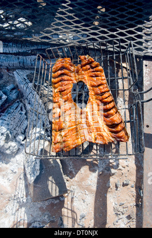 Le poisson séché sur un feu de camp Banque D'Images