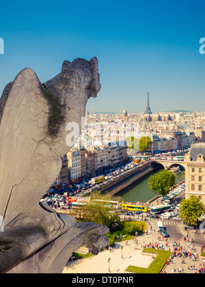 Gargouille sur la Cathédrale Notre-Dame Banque D'Images
