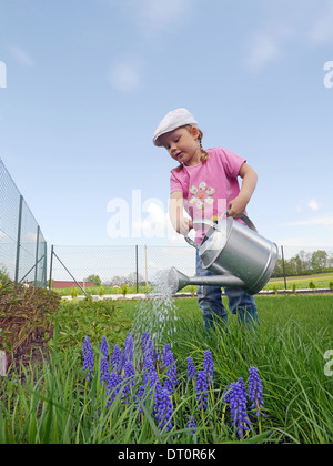 Cute little girl arrosage des fleurs poussant dans le jardin Banque D'Images