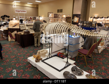 Affiche de fossiles, squelettes, pierres précieuses, minéraux, roches, cristaux et de météorites au Gem and Mineral Show de Tucson, Arizona Banque D'Images