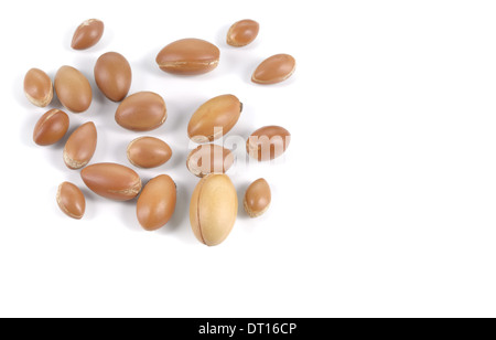 Grand groupe de noix d'argan sur un fond blanc. L'abondance de l'espace de copie. Studio shot horizontale. Banque D'Images