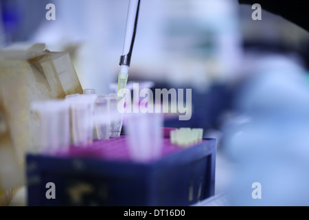 Outils de laboratoire ou des étapes de travail dans un travail de recherche biologique Banque D'Images