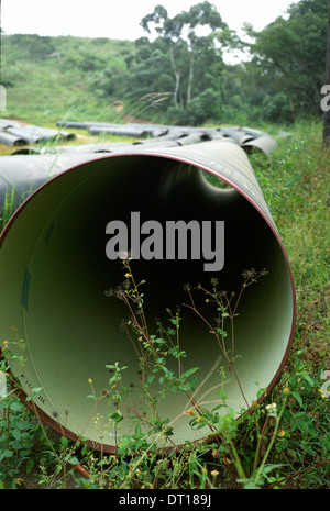 Champs et les bovins, le site d'un projet de système de distribution d'eau. Le développement urbain et rural et de l'infrastructure dans l'ugi Banque D'Images