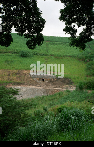 Champs et les bovins, le site d'un projet de système de distribution d'eau. Le développement urbain et rural et de l'infrastructure dans l'ugi Banque D'Images