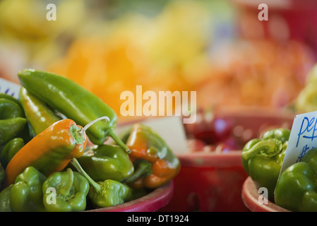 Woodstock, New York USA Organic Assorted Green Peppers sur l'affichage Banque D'Images