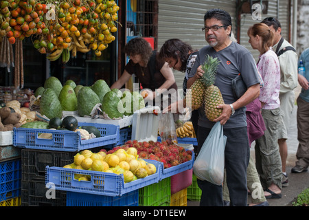 Étal de fruits. L'achat d'ananas du Costa Rica un blocage des routes. Les éco-touristes dans la file d'attente. Costa Rica. L'Amérique centrale. Banque D'Images