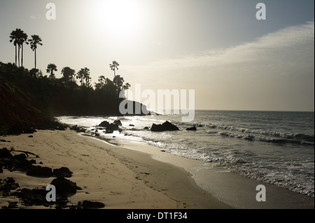 La plage bordée de palmiers, au lever du soleil, Banjul, Gambie Banque D'Images