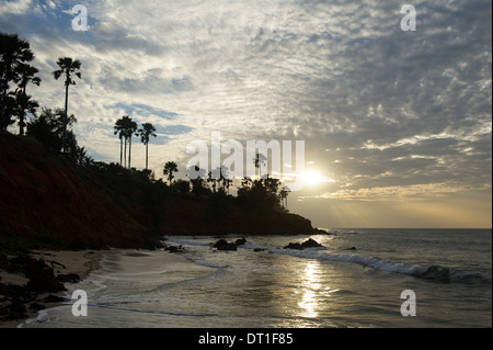 La plage bordée de palmiers, au lever du soleil, Banjul, Gambie Banque D'Images