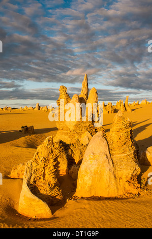 Les pinacles au coucher du soleil (formations calcaires contenues dans le Parc National de Nambung, Australie occidentale, Australie, Pacifique Banque D'Images
