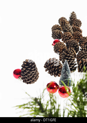 Une branche d'arbre de pin avec les aiguilles vertes décorations de Noël des pommes de pin et de petits ornements rouge brillant Banque D'Images