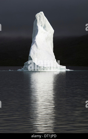 Iceberg dans le Fjord Scoresbysund au Groenland Banque D'Images