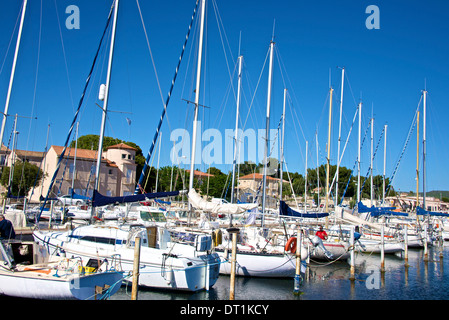 Port de plaisance et voiliers, bassin de Thau, Bouzigues, Herault, Languedoc, France, Europe Banque D'Images