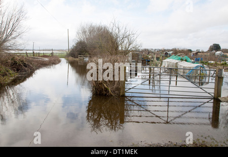 L'eau de la plaine de la rivière Yeo près de Langport, Somerset, Angleterre Banque D'Images