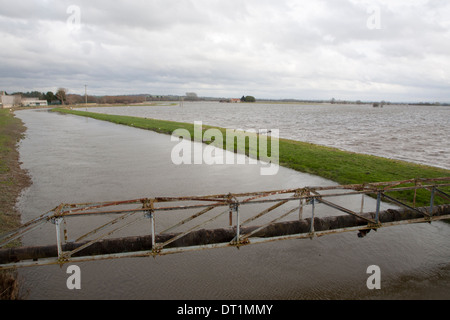 L'eau de la plaine de la rivière Yeo près de Huish Episcopi, Langport, Somerset, Angleterre Banque D'Images