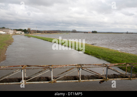 L'eau de la plaine de la rivière Yeo près de Huish Episcopi, Langport, Somerset, Angleterre Banque D'Images