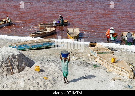 La collecte de sel à Redba salt lake (Lac Rose), Sénégal, Afrique de l'Ouest, l'Afrique Banque D'Images