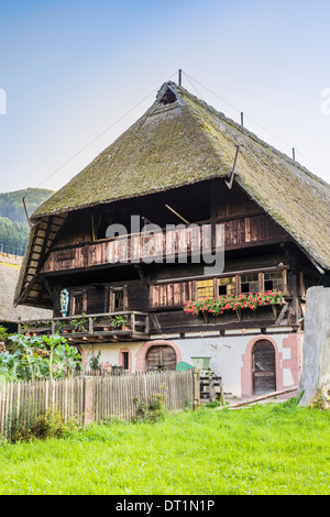 Forêt noire historique à la ferme de la forêt-noire   , le musée de plein air de gutach, forêt noire, Bade-Wurtemberg, Allemagne Banque D'Images