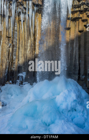 Chutes Svartifoss (noir) en hiver, le parc national de Skaftafell, Vatnajokull Islande Svartifoss, est entouré de colonnes de basalte. Banque D'Images