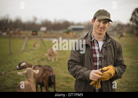 Ferme laitière et de travail des agriculteurs ayant tendance à les animaux Banque D'Images