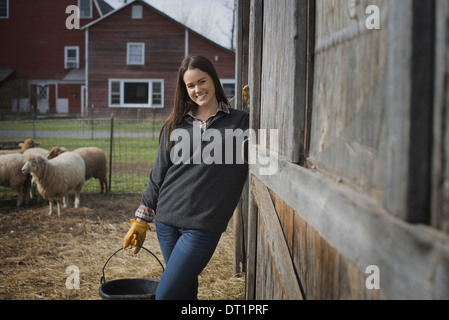 Ferme laitière et de travail des agriculteurs ayant tendance à les animaux Banque D'Images