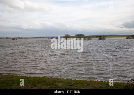 L'eau de la plaine de la rivière Yeo près de Langport, Somerset, Angleterre Banque D'Images