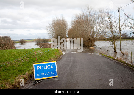 Panneau d'avertissement de Police sur route fermée de Drayton à village inondé, Muchelney Somerset Levels, Angleterre Banque D'Images