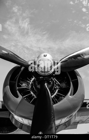 Le pulseur et Pratt & Whitney R-1830 moteur d'un WW2 B24 avion bombardier Liberator Banque D'Images