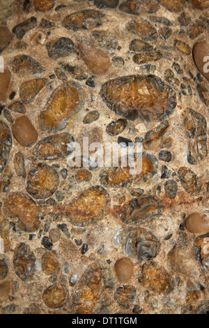 Hertfordshire Puddingstone - un conglomérat de roches sédimentaires Banque D'Images