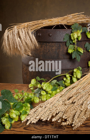 Houblon et la bière Banque D'Images