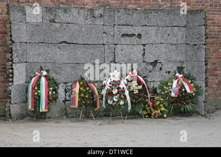 Auschwitz-Birkenau,Pologne,5 février 2014, les couronnes sont encore prévues à l'extermination mur où les gens ont été abattus dans la came de concentration d'Auschwitz Crédit : Keith Larby/Alamy Live News Banque D'Images