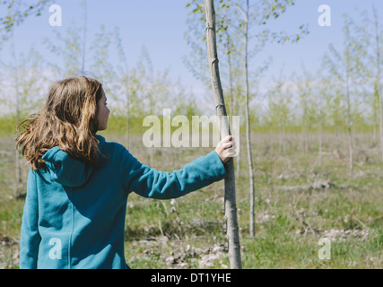 Dix ans, fille, debout à côté de peuplier cultivées commercialement sur grand arbre ferme près de Pendleton Oregon Banque D'Images