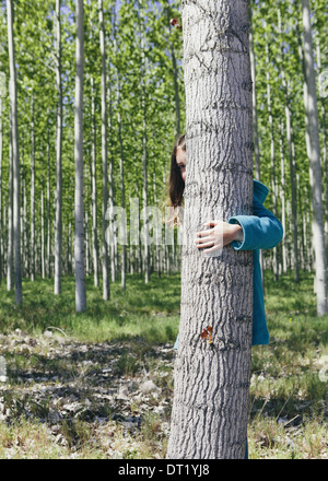 Dix ans, fille sur le derrière du peuplier cultivées commercialement sur grand arbre ferme près de Pendleton Banque D'Images