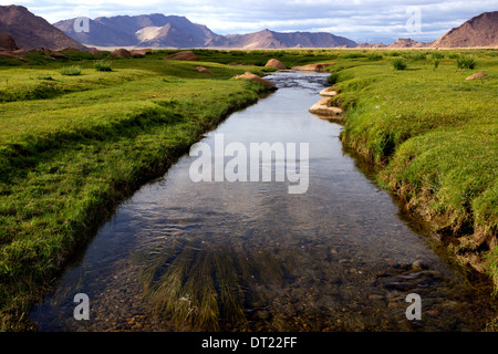 Belle petite rivière entre les pierres dans l'herbe Banque D'Images