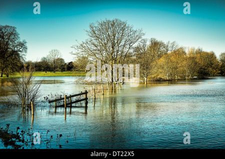 L'eau dans les prairies inondées, Lacock Wiltshire UK Banque D'Images