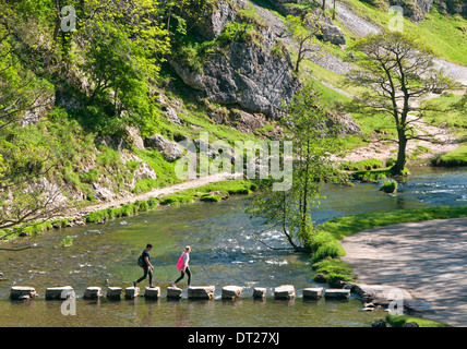 Les marcheurs Crossing Stepping Stones sur la rivière collecteur, Dovedale, parc national de Peak District, Derbyshire, Angleterre, RU Banque D'Images