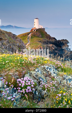 Tŵr Mawr Phare, l'île Llanddwyn, Newborough, Anglesey, au nord du Pays de Galles, Royaume-Uni Banque D'Images