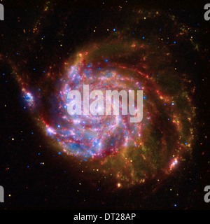 La Galaxie pinwheel (également connu sous le nom de Messier 101, M101 ou NGC 5457) est une galaxie spirale vue de face pris 21 millions d'années-lumière. Banque D'Images