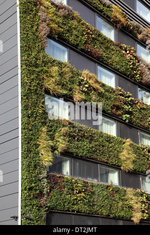 Une plante verte vie couvert mur sur un nouvel immeuble de bureaux dans la ville de London, UK Banque D'Images